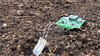 Biodegradable sensors may enhance crop growth, cut e-waste