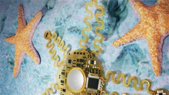 Scientists turn to sea life for smarter heart monitoring tech