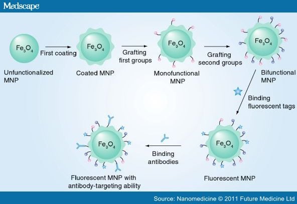 Magnetic nanoparticles. Image credit: Medscape.com