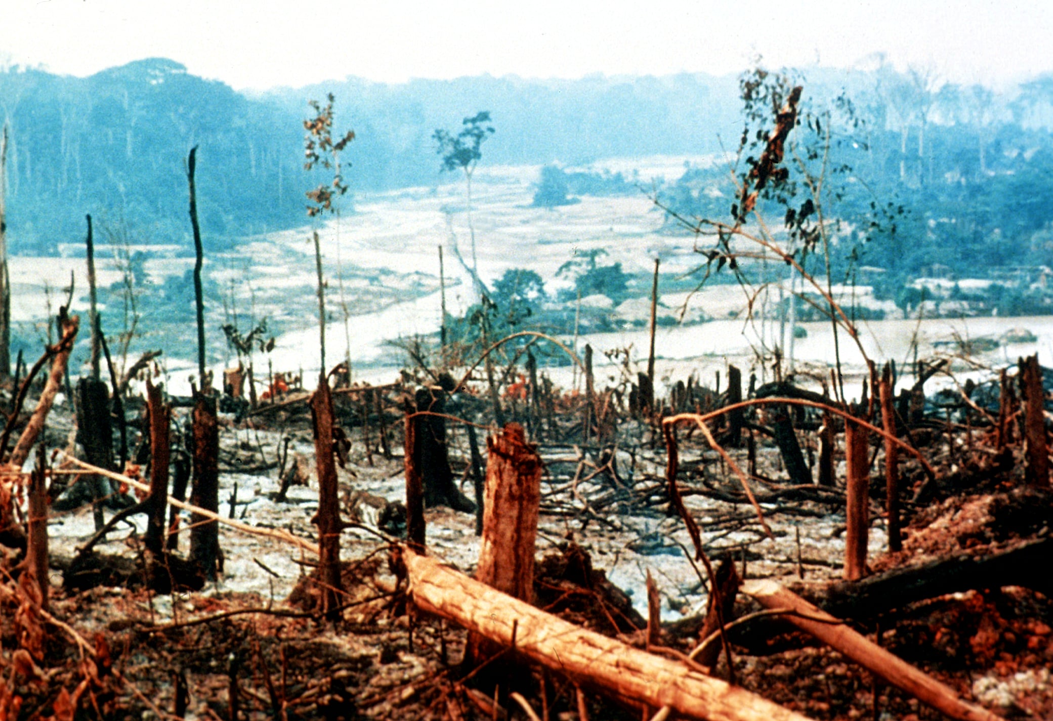 Amazon deforestation Source: Oregon State University