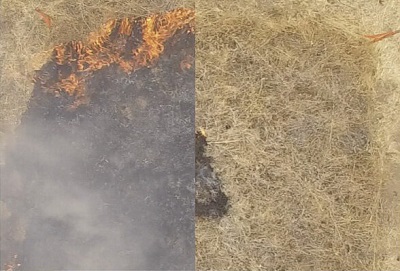 Test burns conducted on a grassy roadside area gauged the effect of the fire-retarding hydrogel. Untreated (left) and treated (right) plots are shown shortly after fire ignition. Source: Eric Appel/Stanford University
