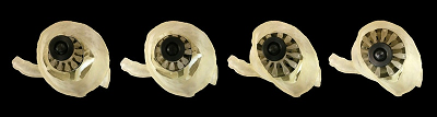 A custom sizer device is placed inside each 3D-printed heart valve model and expanded until the proper fit is achieved. Source: Wyss Institute at Harvard University