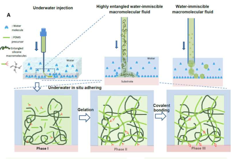 Underwater adhesion mechanism illustration of UIHA adhesive. (A) The in situ adhesion process of UIHA underwater, (B) the chemical reaction scheme inside UIHA and at the interface between UIHA and substrate, and (C) the proposed biomedical applications of UIHA. Unlike small molecules, gelation of macromolecular fluids shows obvious chain length dependence of the silicone fluids. Three types of silicone fluids with different viscosities (molecular weights), namely, silicone 500,000cs (silicone 500k), silicone 10,000cs (silicone 10k), and silicone 200cs (silicone 200), were chosen. Silicone 500k has a weight average molecular weight of ~260 kDa, much higher than its critical entanglement molecular weight (29 kDa; Mc,silicone), while the molecular weights for silicone 200 and silicone 10k are ~9.5 and ~60 kDa, respectively. Source: Science Advances (2022). DOI: 10.1126/sciadv.abm9744