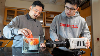 Tiny bubbles use sound waves to safely clean produce