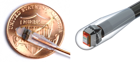 Sensor encapsulated into the catheter and (right) a rendering of the molded system. Image credit: Harvard SEAS.
