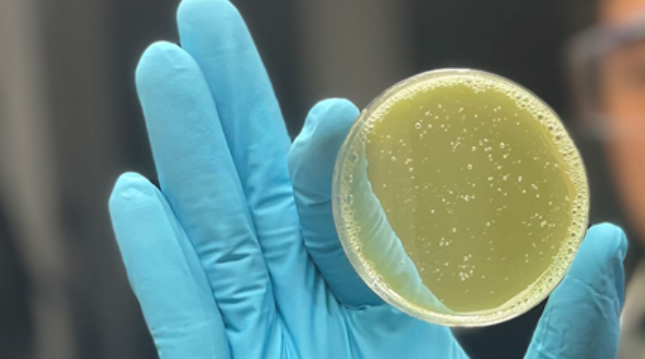 Ceramic nanoparticles act as tiny thermometers in the "iSolder" paste for soldering wounds. Source: Empa