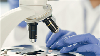 Smarter food: How nanotech enhances flavor and nutrition