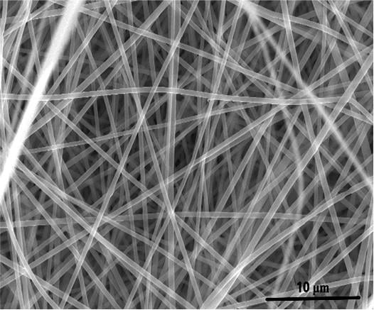 A scanning electron microscope image of a porous carbon nanomaterial useful for energy storage made from recycled PET soda bottles. Source: Mihri Ozkan and Cengiz Ozkan/UC Riverside