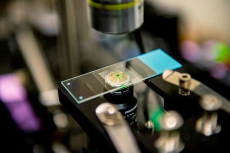 As they are cooled by the laser, the nanocrystals emit a reddish-green &ldquo;glow&rdquo; visible to the eye. Image credit: Dennis Wise/UW.