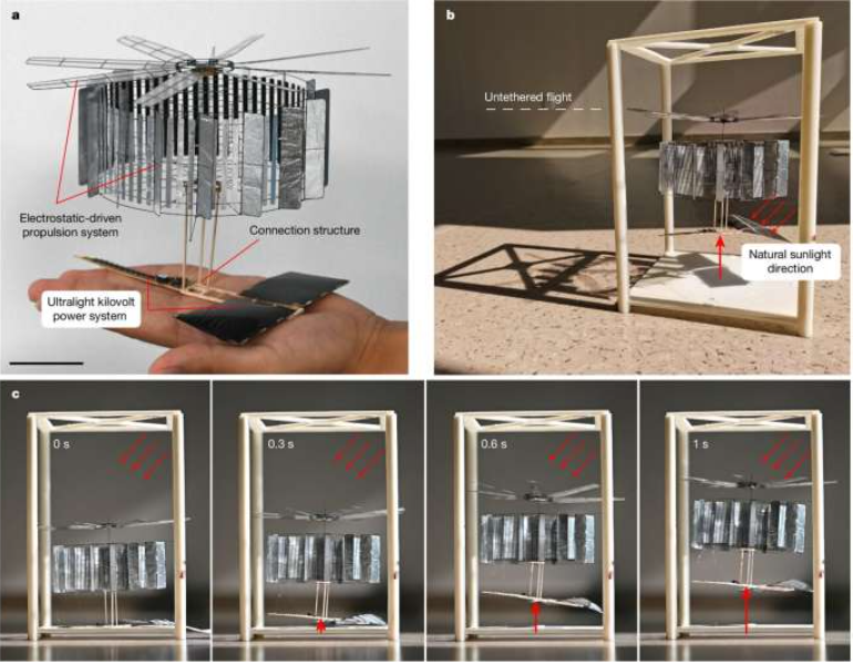 Source: Nature (2024). DOI: 10.1038/s41586-024-07609-4