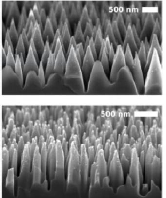 Scanning electron microscope image of black silicon nanotexture with cone-like (top) and columnar-like (bottom) morphology. Source: M. Garin et al.