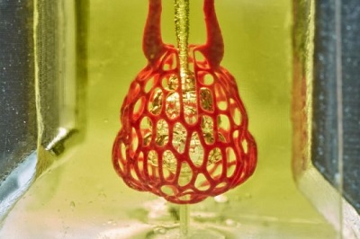 Scale model of a lung-mimicking air sac with airways and blood vessels. Source: Jordan Miller/Rice University