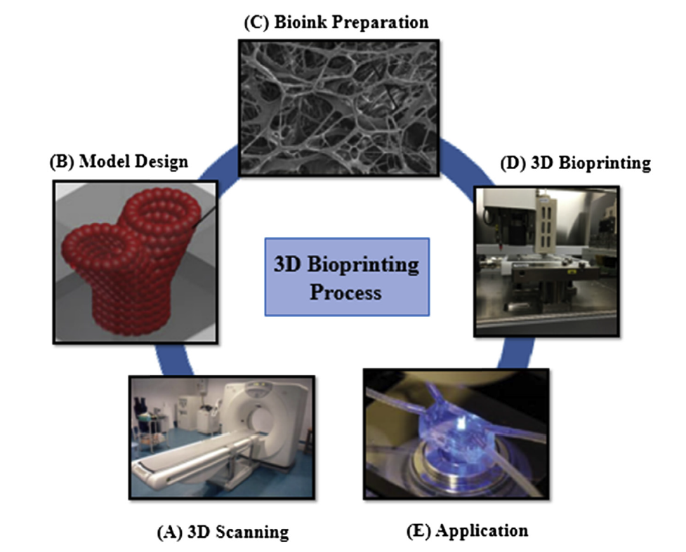 Figure 1. 3D bioprinting process for regenerative medicine applications. Source: Zhang et al, Composites B, Elsevier, 2017