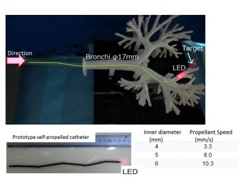 Delivery experiment within bronchus model and a self-propelled catheter prototype. Source: Hideyuki Tsukagoshi