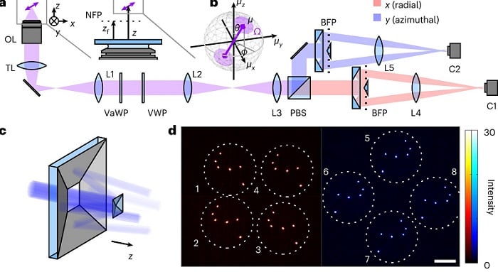 Schematic of the radially and azimuthally polarized multi-view reflector microscope. Source: Nature Photonics (2022). DOI: 10.1038/s41566-022-01116-6