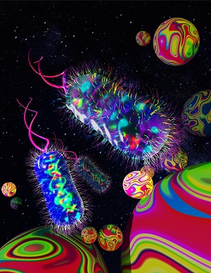 Image shows bacterial cells trapped in a 3D microbead matrix. Source: Wenrong He/Rochester Institute of Technology