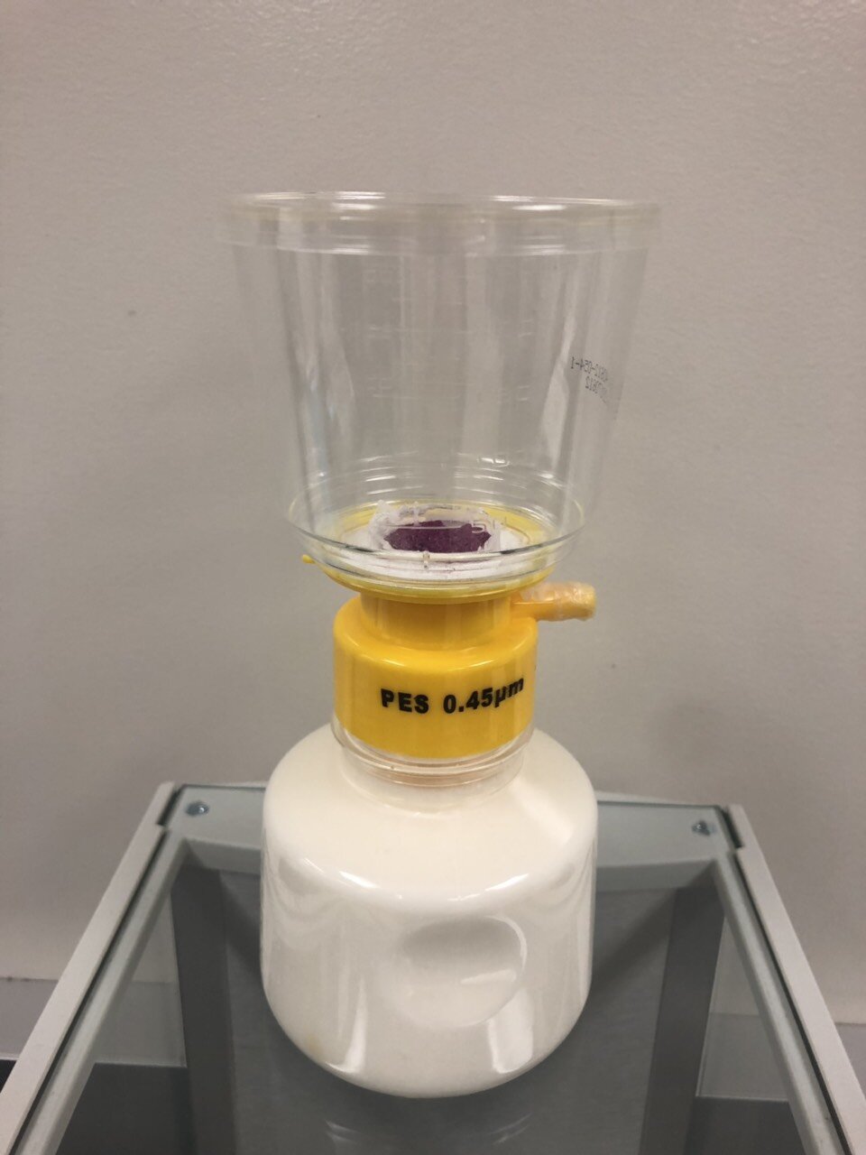 The experimental setup for detecting the volatile compounds in milk, with the pink nanoparticles seen above the liquid. Source: WSU