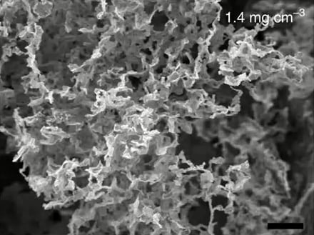 Scanning Electron Microscopy image of a boron nitride nanosheet. Image credit: Deakin University.