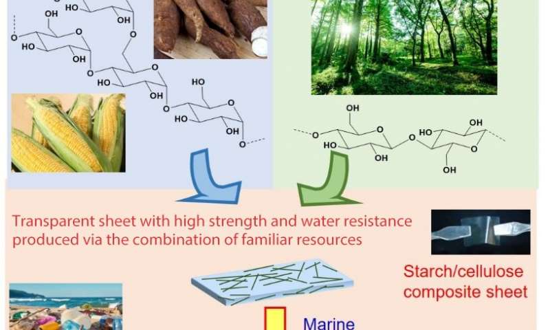 cellulose in plants