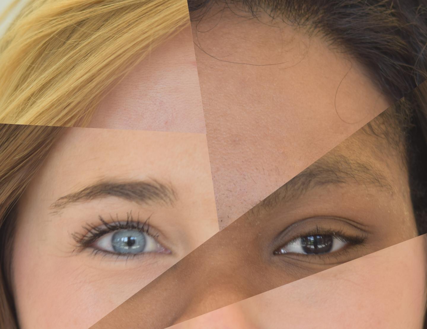 An international team, led by scientists from the School of Science at IUPUI and Erasmus MC University Medical Center Rotterdam, has developed a novel tool to accurately predict eye, hair and skin color from human biological material. The innovative high-probability and high-accuracy complete pigmentation profile webtool is available online without charge. Source: Walsh Lab in the School of Science at IUPUI