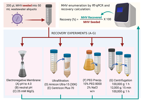 Of the methods used to recover MHV, the most successful was method (C), followed by method (B). Source: Warish Ahmed et al.