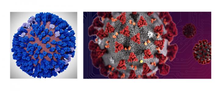 A coronavirus envelope all-atom computer model is being developed by the Amaro Lab of UC San Diego on the NSF-funded Frontera supercomputer of TACC at UT Austin. Biochemist Rommie Amaro hopes to build on her recent success with all-atom in?uenza virus simulations (left) and apply them to the coronavirus (right). Source: Lorenzo Casalino (UCSD), TACC