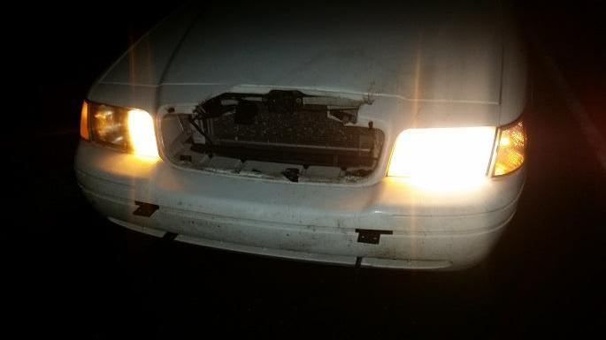 Crown Vic post hitting a deer. The author was able to fix the headlight and get back on the road.