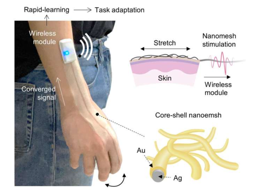 Spray-on sensory system which consists of printed, bio-compatible nanomesh directly connected with wireless Bluetooth module and further trained through meta-learning. Source: Kyun Kyu &ldquo;Richard&rdquo; Kim, Bao Group, Stanford University