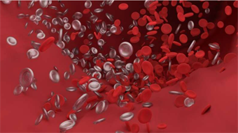 “Click-clotting” halts bleeding in seconds and could reshape emergency care