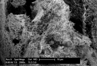 WSU researchers have found a way to create large amounts of inexpensive nanofoam catalysts that can facilitate the generation of hydrogen on a large scale by splitting water molecules. Source: Washington State University