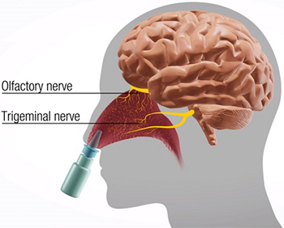 Watch: Treating Brain Cancer with Ultrasound and Aerosols | GlobalSpec