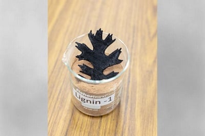 A new composite material containing as much as 50% lignin by weight is well suited for use in 3D printing. Source: ORNL