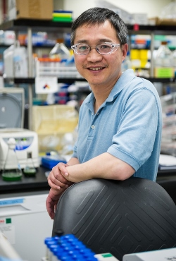 The phosphoketolase pathway is a major pathway under experimental conditions, says NREL senior scientist Jianping Yu. Image credit: Dennis Schroeder/NREL.