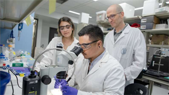 Freshwater mussel protein could inspire stronger medical-grade glues