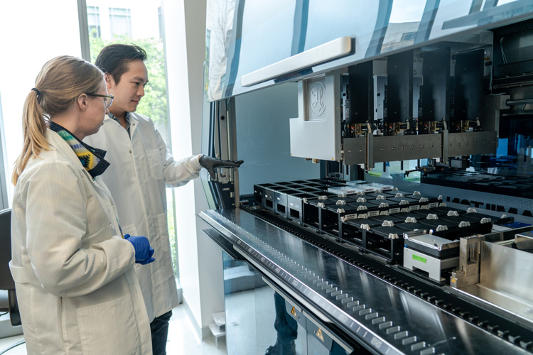 Postdoctoral fellows Jenny Hamilton and Enrique Lin Shiao with an automated liquid-handling robot (Hamilton STARlet) that will be used to analyze swabs from patients to diagnose COVID-19. Hamilton and Shiao volunteered to train to become CLIA certified so as to process patient samples. When analyzing real samples from patients, they would be wearing full personal protective equipment (PPE), including mask, face shield, gown and gloves. Source: Max & Jules Photography