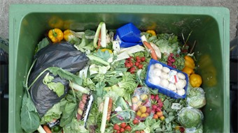 Grant awarded to team turning food waste into bioplastics