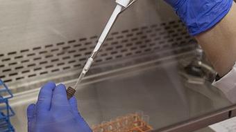 Remote bioengineering lab delivers promising data