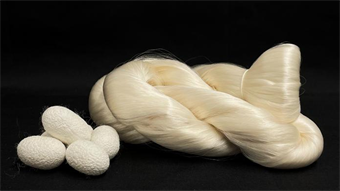 New heat-compressed silk material beats wood in strength, challenges Kevlar, carbon fiber