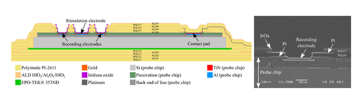 (Left) Schematic cross-section of the encapsulated chip. The alternating polyimide films and ALD layers were etched in different stages, each with an adjusted masking layout, resulting in a stepped profile. This guaranteed that the side walls of the vias are always covered with a bidirectional diffusion barrier. (Right) Scanning electron microscope (SEM) image of a via toward a recording electrode that shows the stepped profile. Source: Imec