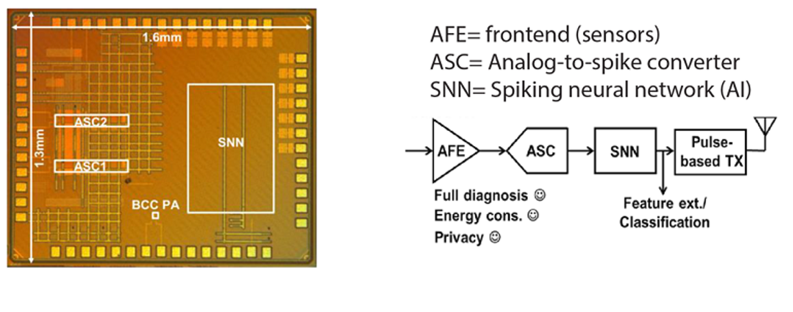 (Left) The chip&rsquo;s layout and (Right) diagram with a system that compresses data a hundredfold by only transmitting event signatures. The resulting system includes an analog-to-spike converter which reports the events (&ldquo;delta encoding&rdquo;) when they cross a threshold, a spiking neural network or AI for local computation and a pulse-based transmitter tailored for low-energy event-driven transmission. Source: Imec