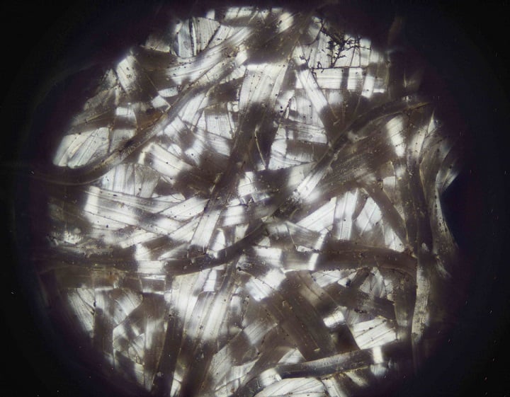 Madagascar comet moth cocoon fibers have a highly metallic sheen. Source: Norman Shi and Nanfang Yu/Columbia Engineering 