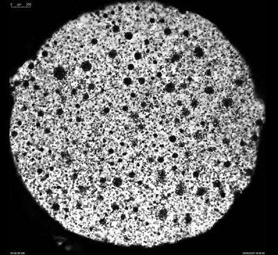 Photo captures magnetic microbead dynamics in the presence of mushroom-shaped structures. Source: Eindhoven University of Technology