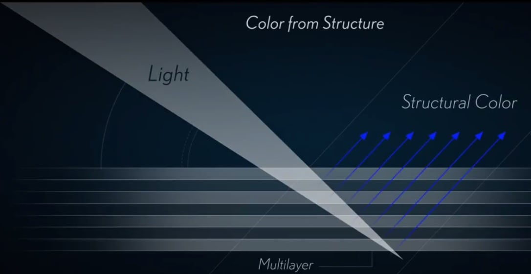 Lexus Developed 'Structural Blue,' A Color Unlike Any Other
