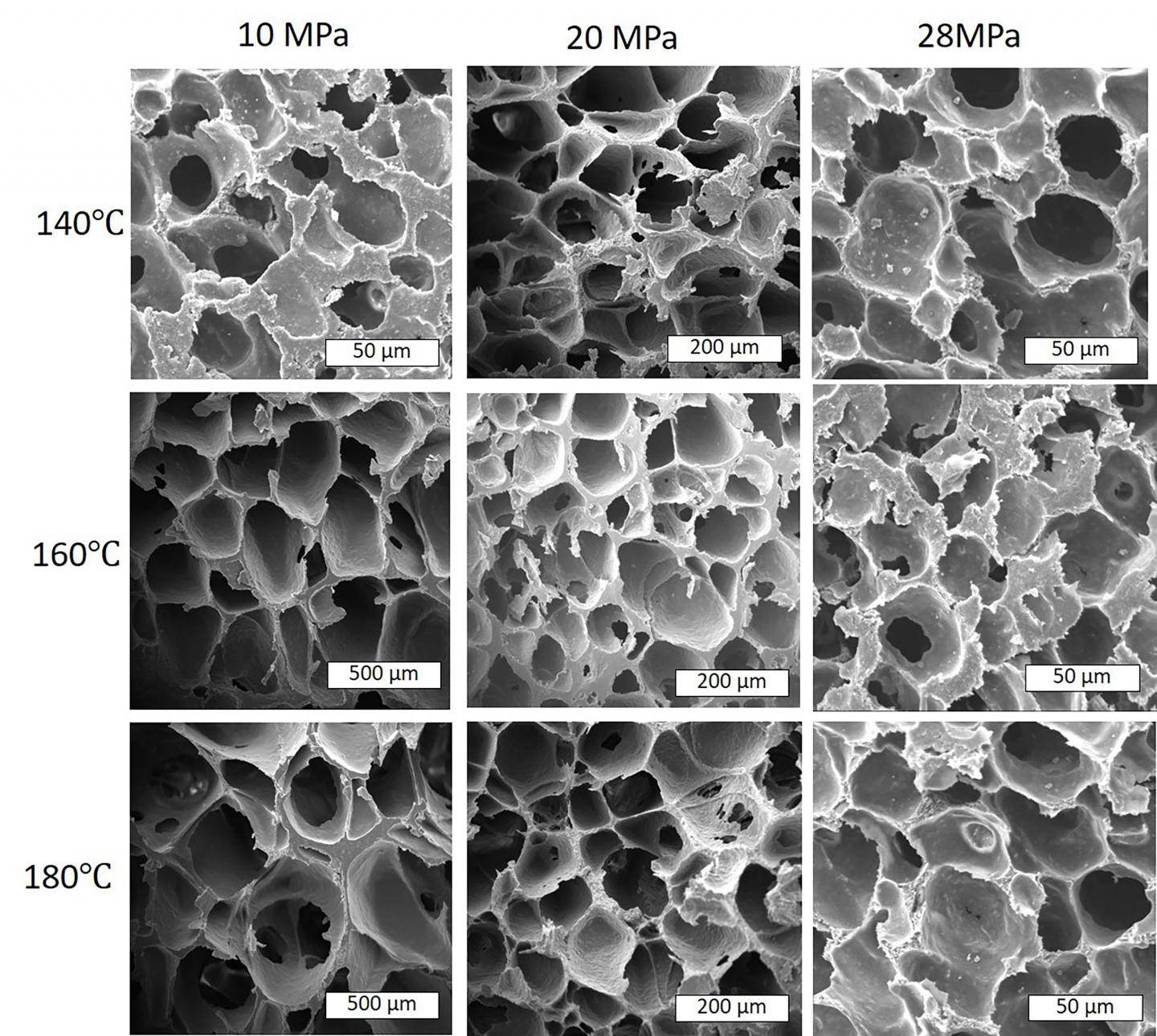 CO2 chamber turns biodegradable plastic into foam GlobalSpec