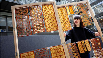 From yeast to structures: Baked biomaterial enables 3D-printed architecture