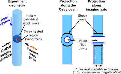 Experiment schematic. A water microjet is intercepted by a focused x-ray laser pulse that launches an initially cylindrical shock wave in the liquid. To observe the propagation of shock and pressure waves, the jet is imaged orthogonal to the jet and the x-ray pulse. Source: G. Blaj et al.