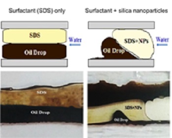 Differences of oil movement through micro channels after surfactant addition in the presence of silica nanoparticles, compared to the surfactant alone. Image credit: Goshtasp Cheraghian/Azad University/Iran