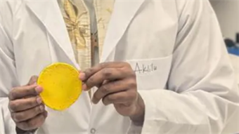 New lightweight polymer from Waterloo blocks X-rays without heavy metals