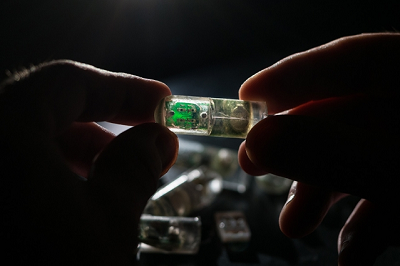 The ingestible sensor is equipped with bacteria programmed to sense environmental conditions and relay the information to an electronic circuit. Source: Lillie Paquette/MIT