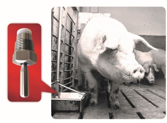 Figure 1. Specialty Manufacturing Co.'s custom-designed, stainless steel, toggle watering valve ensured proper flow to the pigs, while also saving water. Source: Specialty Manufactuing Co.